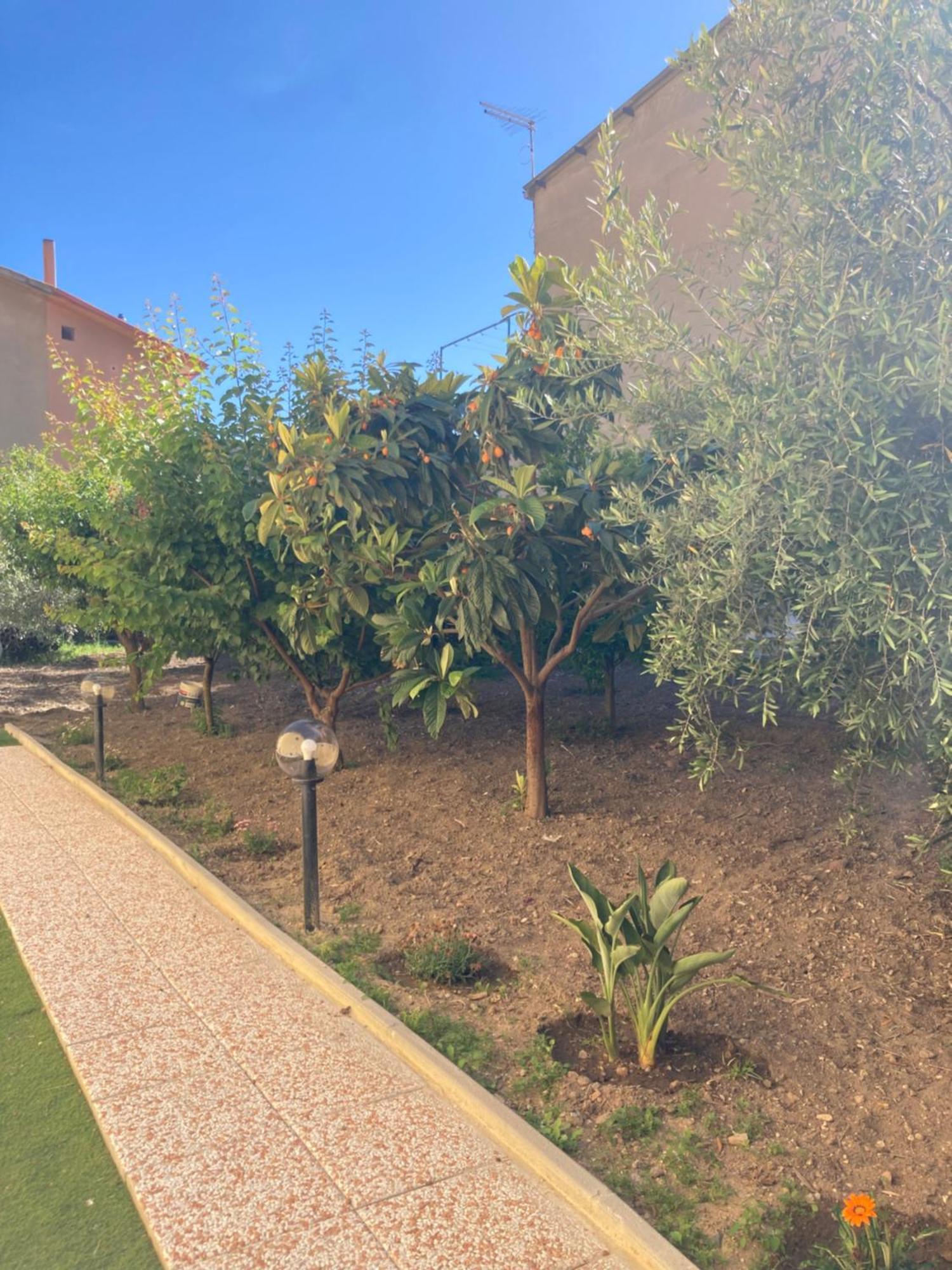 Casa Vacanze Il Giardino Villamassargia Exteriér fotografie